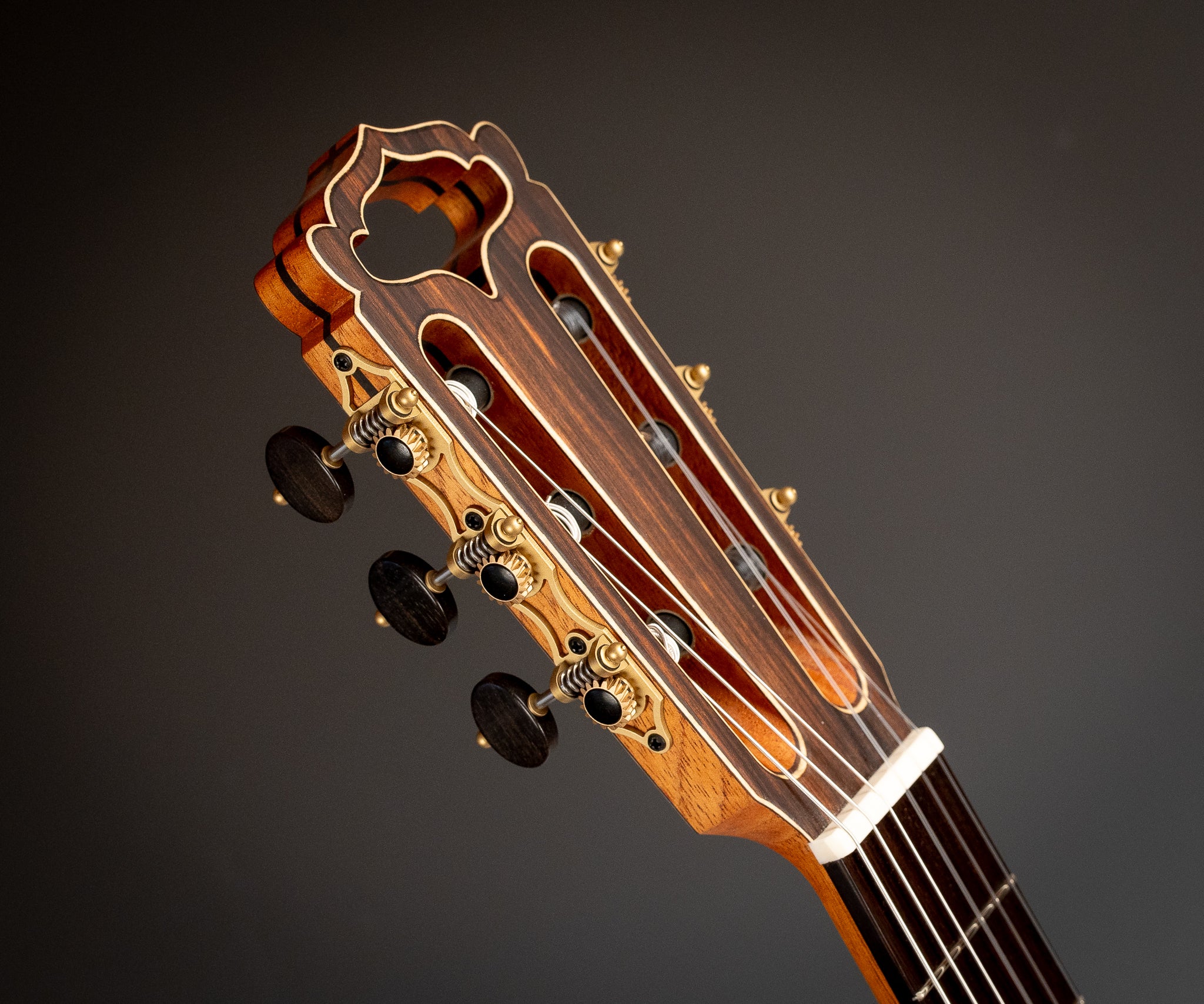 Hanika Natural Torres Classical Guitar