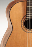 Steven Walter 2002 - Cedar & Brazilian Rosewood