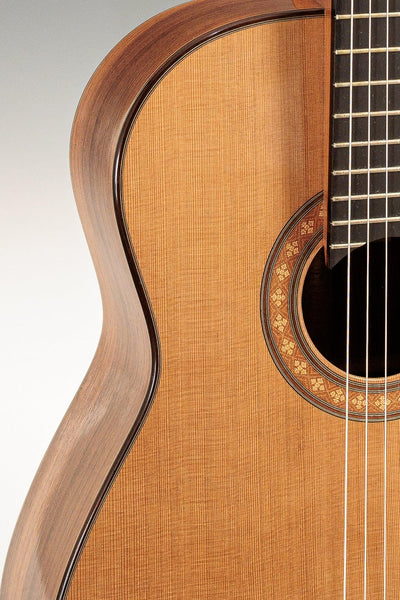 Steven Walter 2002 - Cedar & Brazilian Rosewood