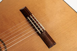 Steven Walter 2002 - Cedar & Brazilian Rosewood