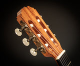 Steven Walter 2002 - Cedar & Brazilian Rosewood