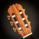 Steven Walter 2002 - Cedar & Brazilian Rosewood