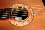 Tony Ennis Classical Guitar, The X-3: Rosewood & Redwood