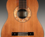 Tony Ennis Classical Guitar, The X-3: Rosewood & Redwood